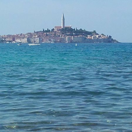 Apartment Iva Rovinj Exterior foto
